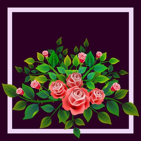 Bouquet Of Fresh Red Roses Vector Ilustration Stock Image