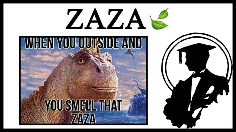 What Does When You Outside And Smell That Zaza Mean Youtube
