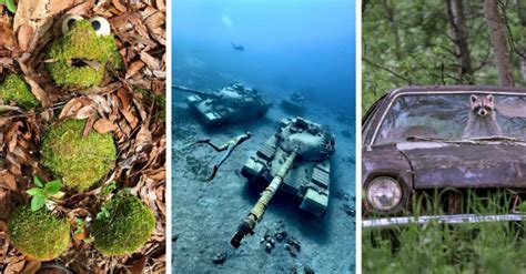 19 Stunning Images Of Abandoned Things Being Reclaimed By Nature