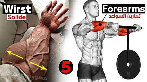 5 Best Exercises For Bigger Forearms Workout Youtube