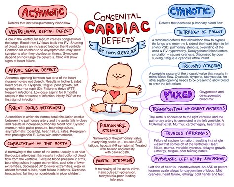 I Made This For My Peds Class It Is A Concept Map On Congenital Heart