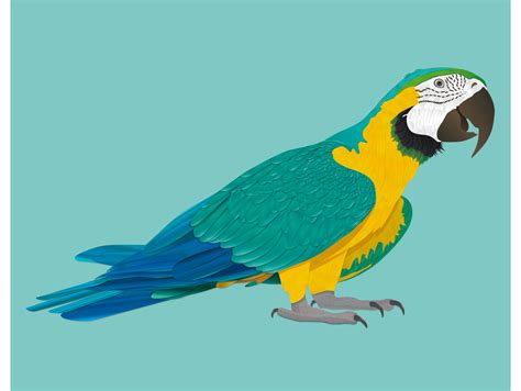 Parrot Illustration By Artemlysak On Dribbble