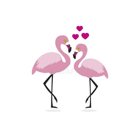 Cartoon Flamingo Bird Stock Vector Illustration Of Water 50840008
