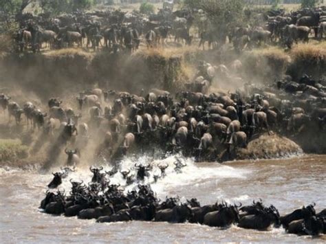 Tanzania Luxury Safari Holiday Responsible Travel