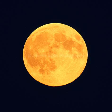 Jeremy Inglis Photography Orange Moon