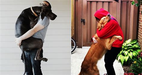Tiernas Fotos De Perros Abrazando A Sus Dueños