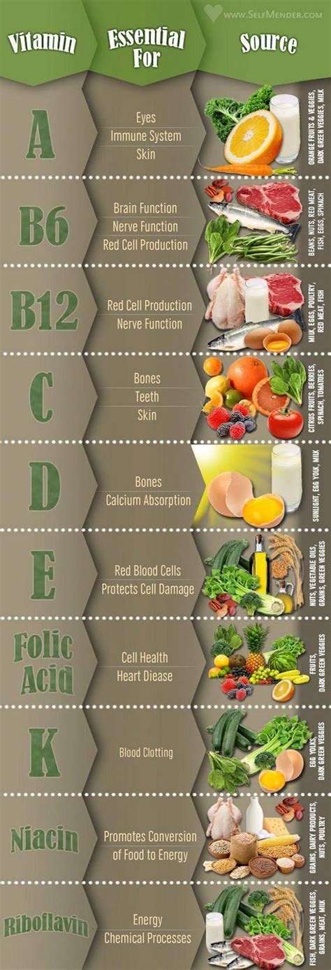 Essential Guide To Essential Vitamins And Their Food Sources Infographic