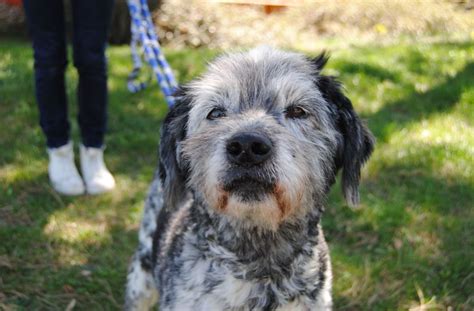 Tierheim Böblingen: Diese Tiere suchen ein Zuhause - Fotos