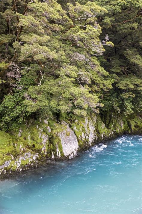 Blue Pools At Wanaka River In New Zealand Stock Photo Image Of