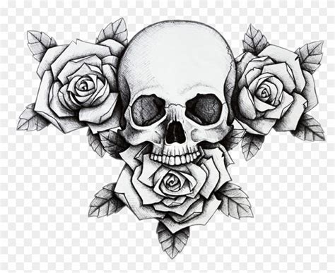 Skull And Roses Png Transparent Png Png Collections At Dlfpt