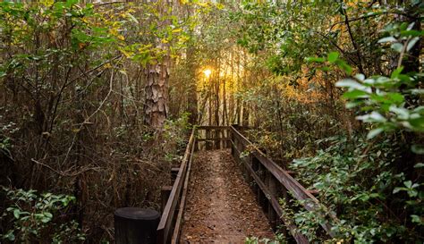 15 Scenic Trails For Hiking In Florida Florida Trippers