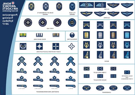 Air Cadet Badges For Sale In Uk 60 Used Air Cadet Badges