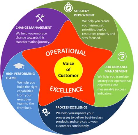 Operational Excellence Genetrix Consulting