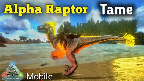 How To Tame Alpha Raptor In Ark Mobile Youtube