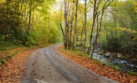 Spectacular Hidden Drives In The Great Smoky Mountains