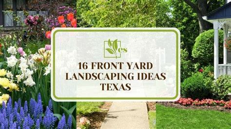 16 Front Yard Landscaping Ideas Texas Different Ideas