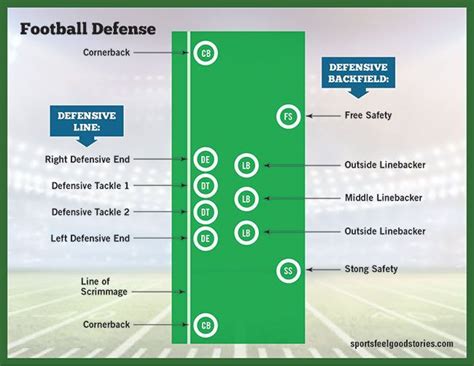 Compare And Contrast Offensive And Defensive Roles In Team Sports