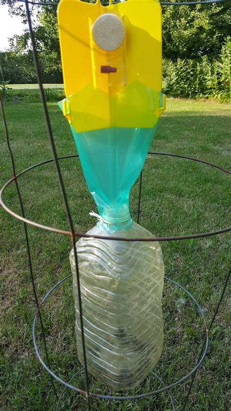 Gear Acres At Top Of The Hill Japanese Beetle Trap Hack