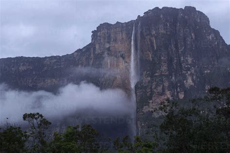 Venezuela View Of Waterfall At Salto Angel Rm000571 Martin Rietze
