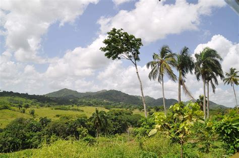 Pin By Chloe Dell On Dominican Republic Landscape Farmland Picture