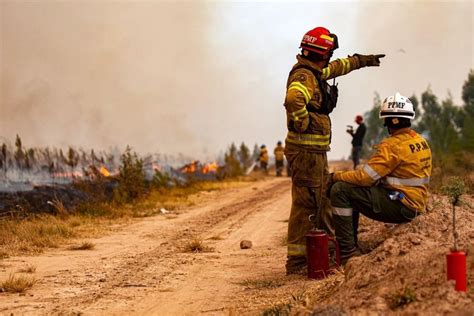 Reporte Oficial Por Los Incendios En Argentina Ocho Provincias Con