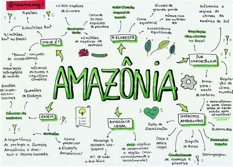 Biomas Brasileiros Mapa Mental Amazonia Biomas Mapas Mentais Mapa