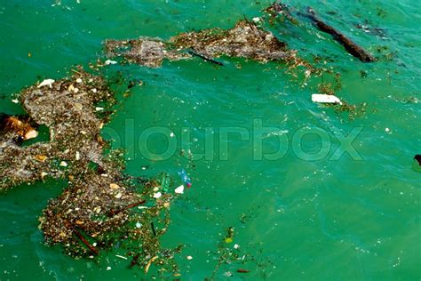 Our Oceans Are Dirty And Nobody Gives A Sh Lakewood Times