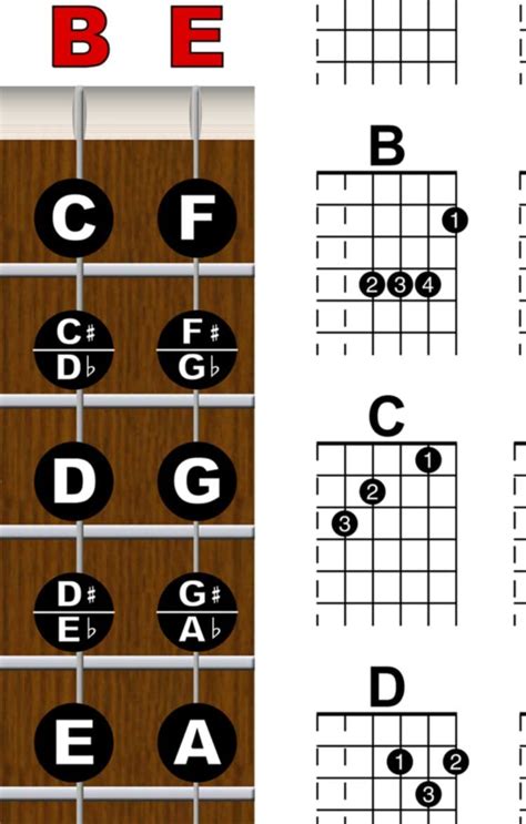 Buy Laminated Guitar Fretboard Notes Easy Chord Chart Instructional Poster For Beginner