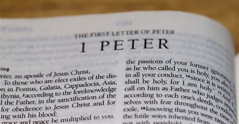 1 peter 4 is the fourth chapter of the first epistle of peter in the new testament of the christian bible. What's the Purpose of the Book of 1 Peter? - Christian ...