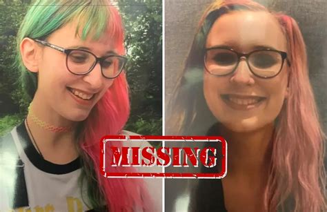 michigan state police searching for missing gaylord woman