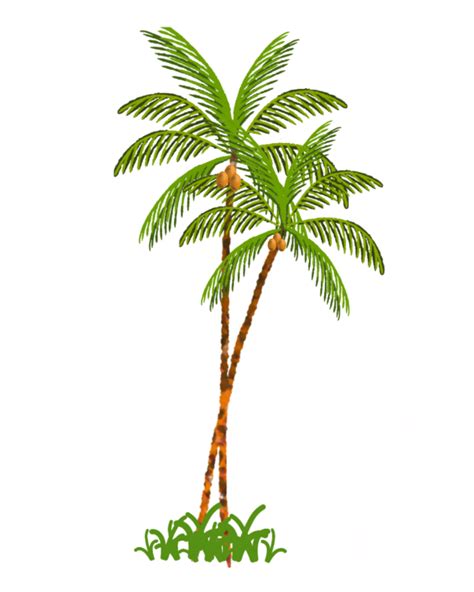 Coconut Palm Tree Png