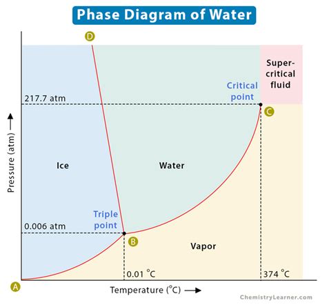Phase Change Diagram Of Water Overview Importance Exp