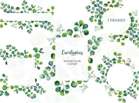 Eucalyptus Frames Clipart, Green Leaves Foliage Clipart, Floral Frames, Png Frames, Watercolor ...