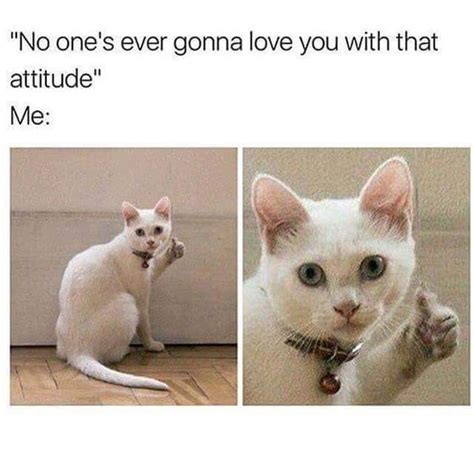 Attitude Problems Meme Guy