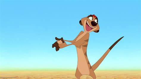 Timon Wallpaper 67 Pictures