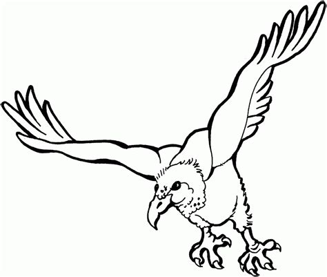 Vulture Coloring Pages For Kids Coloring Pages