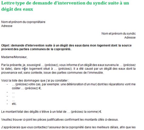 Demande Dintervention Du Syndic Suite à Un Dégât Des Eaux Lettre