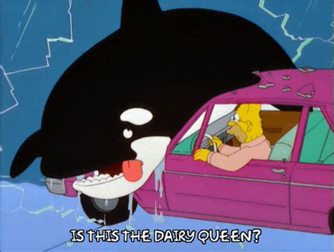 The Dairy Queens Gifs Get The Best Gif On Giphy