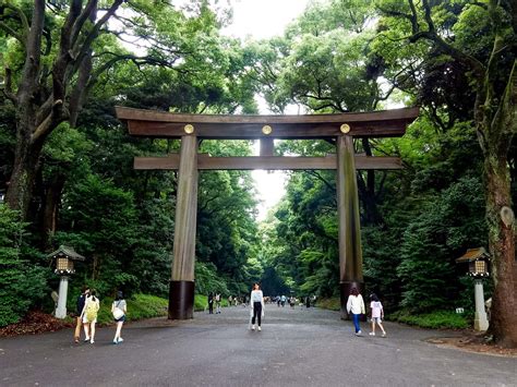Meiji Shrine And Yoyogi Park Explore Shaw