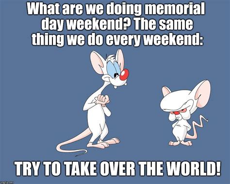 Have a safe, peaceful, and blessed memorial day weekend. pinky and the brain Memes & GIFs - Imgflip