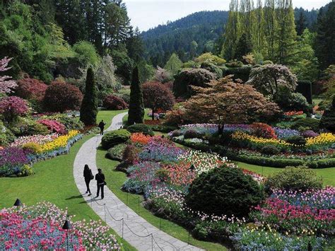 19 Ferry To Butchart Garden Ideas To Try This Year Sharonsable