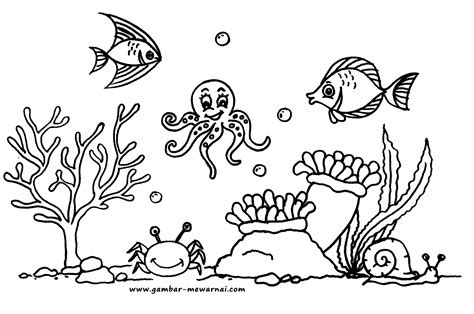 Kumpulan Gambar Untuk Belajar Mewarnai Gambar Hidupan Laut Kartun