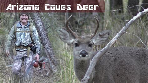 Arizona Coues Deer Archery Hunting 2020 Youtube