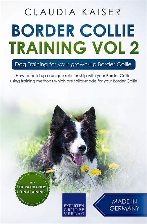 Border Collie Training Vol 2 Dog Training For Your Grown Up Border