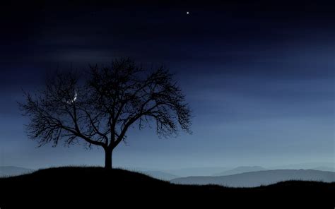 Tree Night Moon Sky Lonely Wallpaper Coolwallpapersme