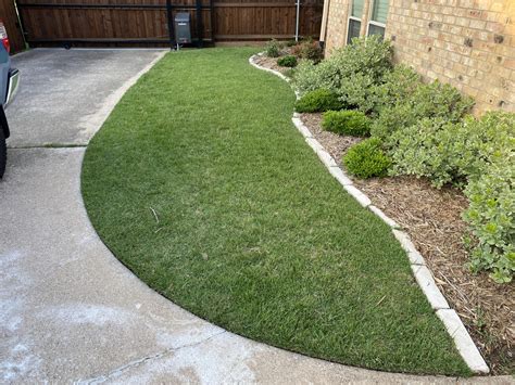 A Tale Of 2 Yards Kinda My Front And Back Lawn Care Forum