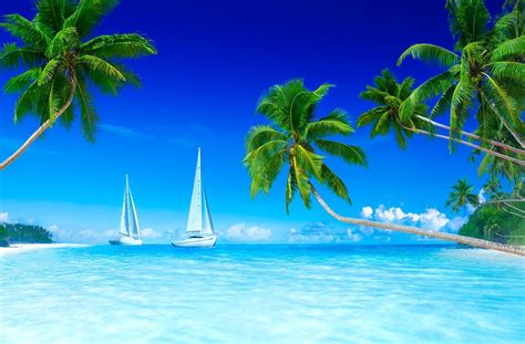 Tropical Paradise Beach Tropical Beach Resorts Beach Cruise Cruise