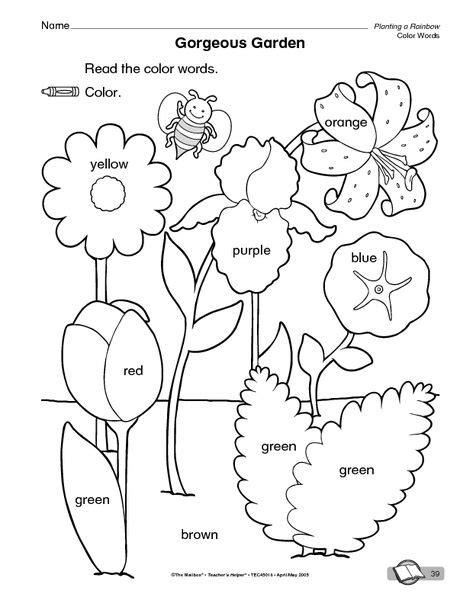 colorful garden  words worksheets worksheets