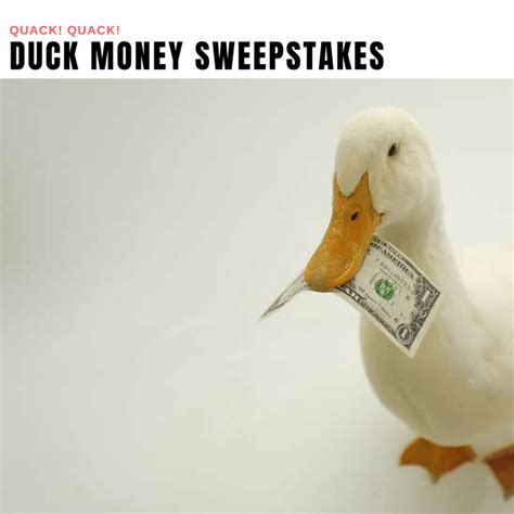 Duck Money Giveaway - Freebies Ninja
