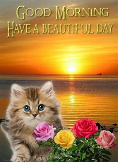 Happy Good Morning Quotes Good Morning Beautiful Pictures Morning